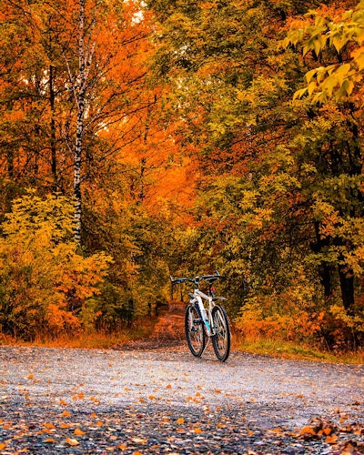 fall biking